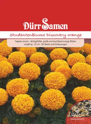 Produktbild von Dürr-Samen - Studentenblumen Discovery orange einjährig 25 cm - Saatgut - 4212