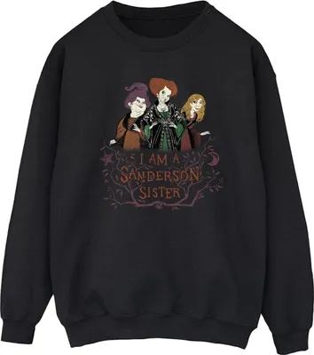 Produktbild von Disney - "Hocus Pocus Sanderson Sister" Sweatshirt für Herren BI20554 (5XL) (Schwarz)