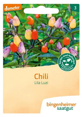 Produktbild von Bingenheimer Saatgut Chili Lila Luzi 1 Stück
