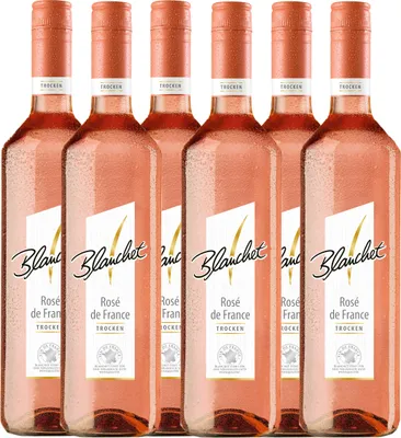 Produktbild von Blanchet Rosé de France trocken | 12,0 % vol | 6 x 0,75 l