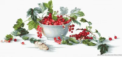 Zdjęcie produktu dla Zestaw do haftu krzyżykowego Luca-S "Czerwone porzeczki I", wzór liczony, 49,5x22,5cm