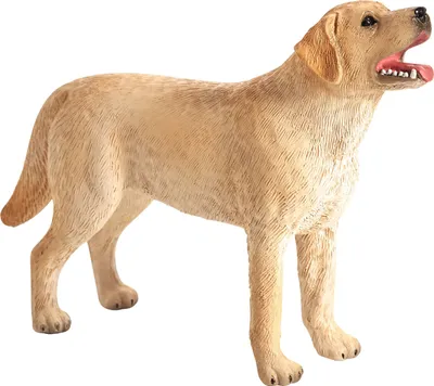 Obrázok produktu pre Mojo Fun Labrador, 3 rok / roky, FARMLAND, Žltá, Hnedá, Polyvinylchlorid (PVC)