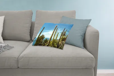 Produktbild von MuchoWow® Zierkissen Sofakissen Wohnzimmer Dekokissen 60x40 cm Kaktus - Meer - Himmel - Kopfkissen - Polster mit Foto