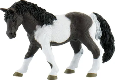 Immagine prodotto di Cavalla Lewitzer, figura di gioco