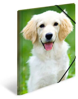 Imagen del producto de HERMA, carpetas para documentos en formato DIN A3, con diseño de perros, paquete de 3 unidades.