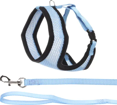 Productafbeelding van Flamingo Halsbandset voor katten, blauw/zwart