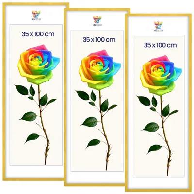 Obrázok produktu pre MG Design, sada 3 kusov rámov na obrazy, žltá farba, 35x100 cm - rámy na plagáty z masívneho dreva s akrylovým sklom, zosilnený systém na zavesenie na stenu, možnosť zavesenia na výšku alebo na šírku