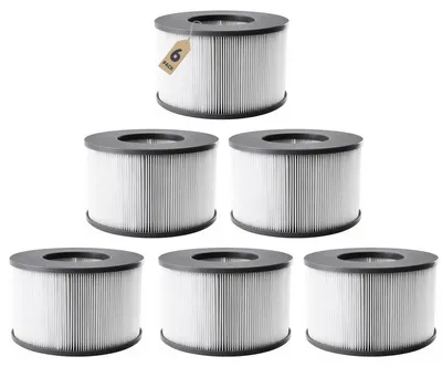 Produktbild von Ersatzfilter für MSpa Whirlpool Filter ab 2020, 6 Stück