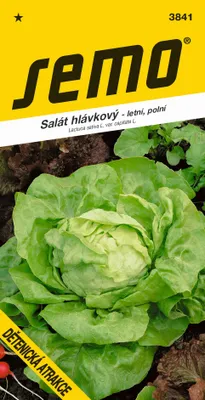 Obrázok produktu pre ŠALÁT HLÁVKOVÝ letný Detenická atrakce