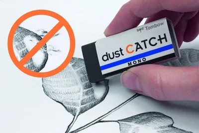 Image de Tombow EN-DCMONO poussière CATCH