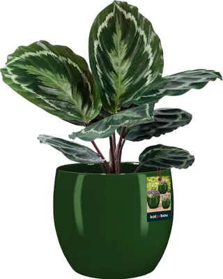 Produktbild von KOTARBAU® Kvetináč keramický okrúhly ⌀ 26 cm Výška: 26 cm Zelený kvetináč Keramický kvetináč na izbové rastliny Kvetináč moderný malý kvetináč Kvetináč keramický Keramický kvetináč na orchideu