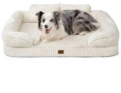 Immagine prodotto di Cuccia ortopedica per cani, taglia media, 104x69 cm, color beige