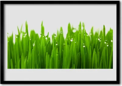 Produktbild von Bild 100x70 MDF-Rahmen Wandkunst Gras Natur Pflanze