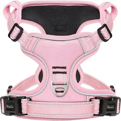 Produktbild von Famanu Hundeharnisch Verstellbar und Atmungsaktiv - Rosa, Größe L