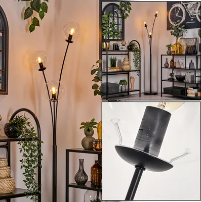 Produktbild von Fossobiubo Stehlampe aus Metall/Glas in Schwarz/Klar