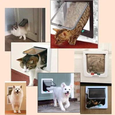 Productafbeelding van Famanu kattenluik met magneetsluiting - Wit, L