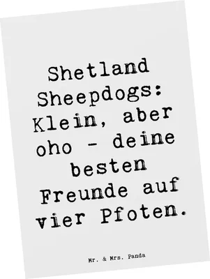Produktbild von Mr. & Mrs. Panda Postkarte Spruch Shetland Sheepdog Freunde - Weiß - Geschenk, Treue, treuer Begleiter, Postkarten, beste, Grußkarte, bildkarte, Shelties, Fotokarte, Hund