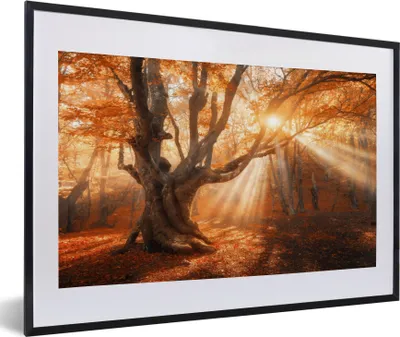 Produktbild von MuchoWow® Gerahmtes Poster Baum - Natur - Herbst 60x40 cm - Poster mit Schwarzem Bilderrahmen Wandposter Rahmen Foto Bilder - Schlafzimmer - Plakat in Rahmen - Drucken