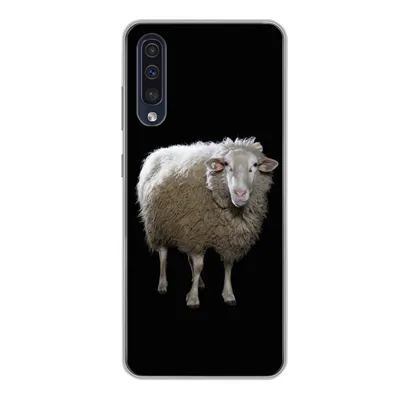 Produktbild von MuchoWow® Handyhülle Schutzhülle Hülle für Samsung Galaxy A50 Schafe - Nutztiere - Schwarz Silikon Softcase Handy Hülle - Mobiltelefonhülle