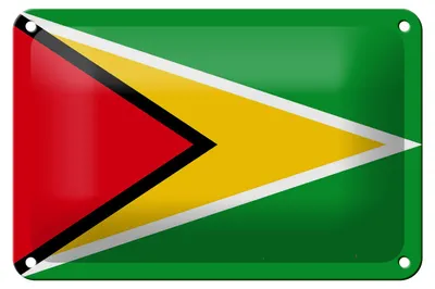 Produktbild von Blechschild Flagge Guyanas 18x12cm Flag of Guyana Dekoration