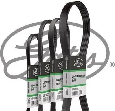 Produktbild von GATES Keilrippenriemen 1984mm CB0073
