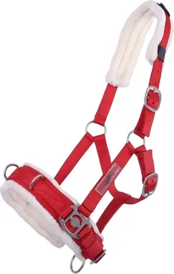 Produktbild von Kappzaum Halfter Nylonhalfter Longierhalfter QHP 7 Farben und 4 Grössen Farbe - rot Größe - Pony