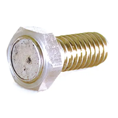 Immagine prodotto di Vite magnetica disco freno Koso M8x1,25x29,0