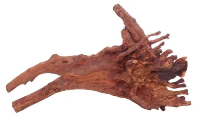 Produktbild von L Jungle Wood Wurzel Nr.4523 Holz Deko Aquascaping