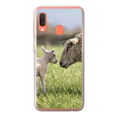 Produktbild von MuchoWow® Handyhülle Schutzhülle Hülle für Samsung Galaxy A20e Schafe - Gras - Lamm Silikon Softcase Handy Hülle - Abdeckung