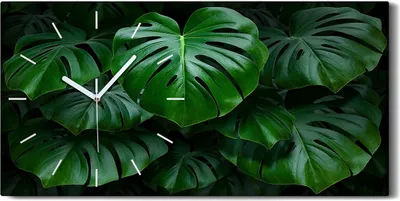 Produktbild von Wohnzimmer-Bild Leinwand Uhr 60x30 Gemälde Blüten Pflanzen Monstera Blätter - weiße Hände