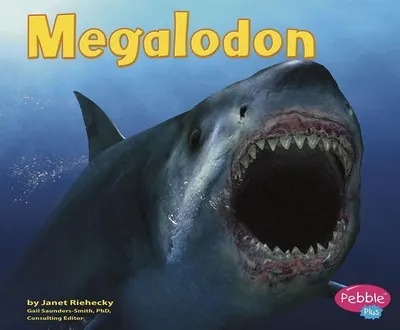 Produktbild von Megalodon