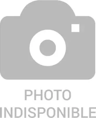 Image de Kit filtre à charbon - Brandt - AFC31 -