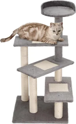 Imagen del producto de Árbol para gatos, juego y rascador con escalera, 5 niveles, color beige/gris, dimensiones 48x48x99,5 cm