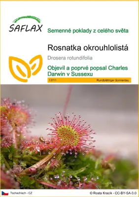 Obrázek produktu pro SAFLAX - Rosnatka okrouhlolistá - Drosera rotundifolia - 50 Semena