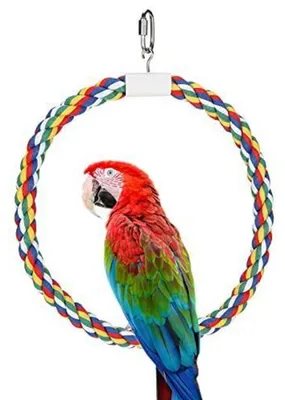 Image de Jouet balançoire pour perroquets, corde en coton, anneau pour petits et moyens oiseaux, perchoir balançoire