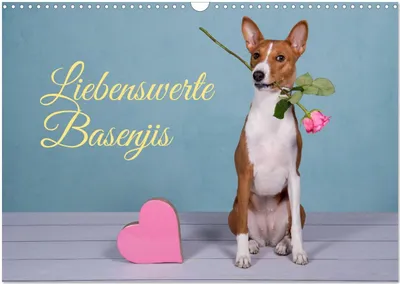 Produktbild von Liebenswerte Basenjis (Wandkalender 2026 DIN A3 quer), CALVENDO Monatskalender