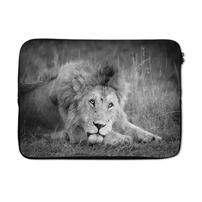 Produktbild von MuchoWow® Laptop Hülle 14 ZollLöwe - Schwarz - Tiere Laptoptasche - Laptoptasche - Stoßsicher - Schutzhaube