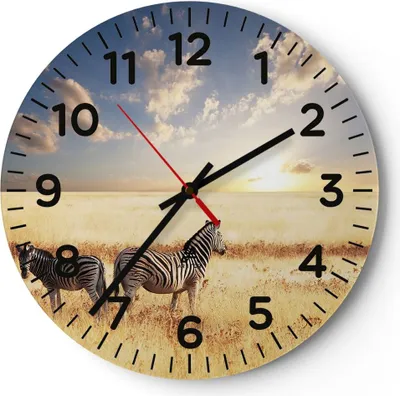 Produktbild von Wanduhr - Rund - Glasuhr - Zebra tier gestreift savanne - 30x30cm - Schleichendes Uhrwerk - Lautlos - zum Aufhängen bereit - Dekoration Modern - Wanddekoration aus Glas - C4AR30x30-2596