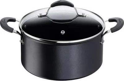 Image de Faitout 24 Cm + Couvercle - Tempra - Lagostina