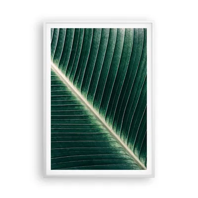 Produktbild von Gerahmtes Poster - Weißer Rahmen - Grün Blatt Tropisch - 70x100 cm - Wand Bild - Wanddeko - Wandbilder - Kunstposter - Wandposter - Bilderrahmen - Bilder - Kunstdruck - Wandbild - P2WPA70x100-4126