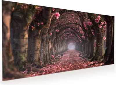 Produktbild von Küchenrückwand Spritzschutz Glas mit Motiv Blütenweg 40 x 40 cm
