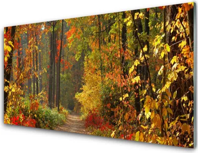 Produktbild von Acrylglasbilder 100x50 Wandbild Druck Wald Natur