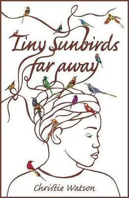 Produktbild von Tiny Sunbirds Far Away