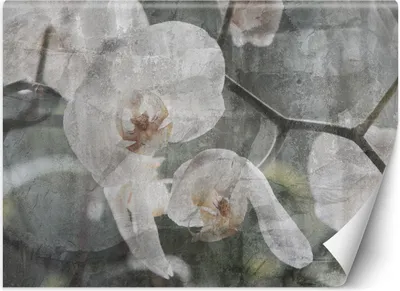 Obrázek produktu pro Nástěnná malba large vintage orchidej tapeta na stěnu 250x175 cm barva Béžová téma Zenové a orientální