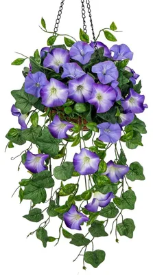 Obrázek produktu pro Kunstblumen, umělá rostlina "Morning Glory" (ropík), závěsná rostlina s květináčem, výška 70 cm, modrá/fialová