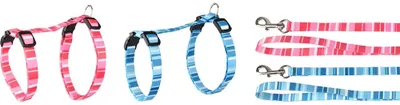 Immagine prodotto di Collare per gattini Alfry 15-25 cm 10 mm assortiti gatto