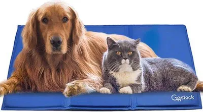 Image de Tapis rafraîchissant sans danger pour chiens et chats, gel non toxique, tapis rafraîchissant pour caisses et cages, 120 x 80 cm