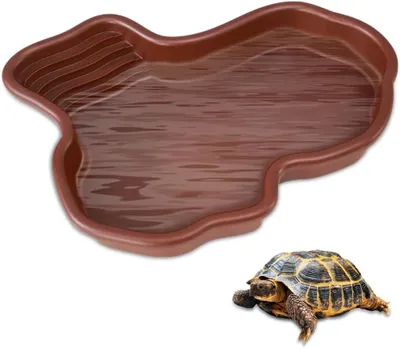 Produktbild von Schildkröten Wasserschale Badebecken mit Rampe Sonnenplattform.