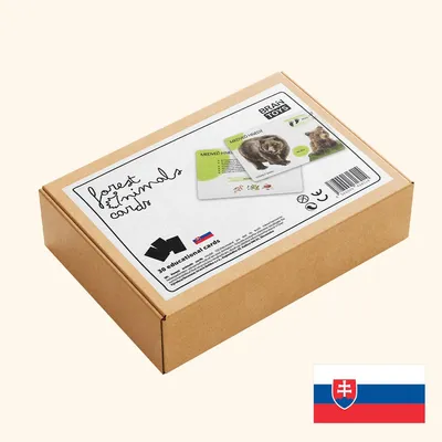 Obrázok produktu pre Sada edukačných kariet lesné zvieratá, SK