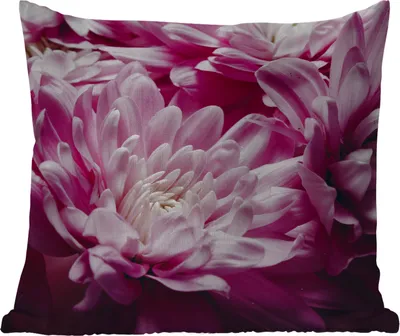 Produktbild von MuchoWow® Outdoor Kissen - Blumen - Rosa - Natur - 40x40 cm - Wetterfest - Lounge Kissen - Kopfkissen - Interieur - Polster mit Bild